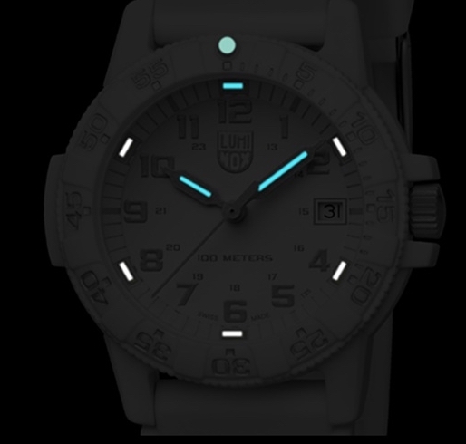 นาฬิกา LUMINOX  SEA TURTLE 0300 SERIES รุ่น XS.0307.WO