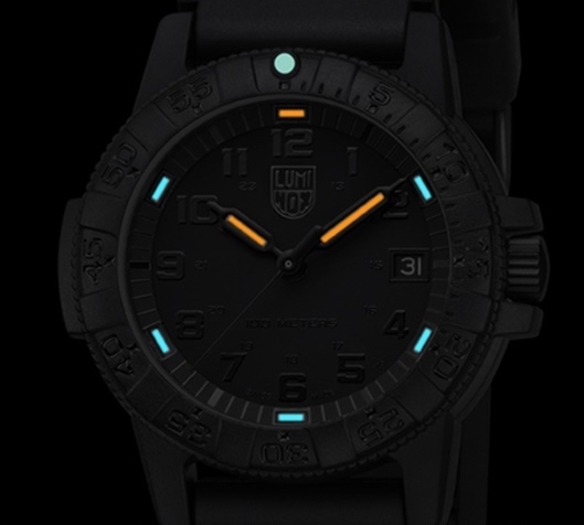 นาฬิกาLuminox Leatherback Sea Turtle 0300 Series รุ่น XS.0301.BO.L