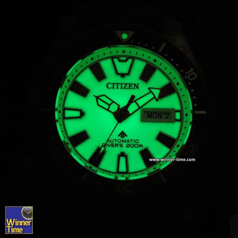 นาฬิกา Citizen Promaster Fugu 4th Gen.  Automatic Divers 200M Sapphire Glass Full Lume Dial Asia Limited Edition 1,989 PCs Rubber Strap Watch รุ่น NY0138-14X